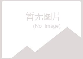 临川操控化学有限公司